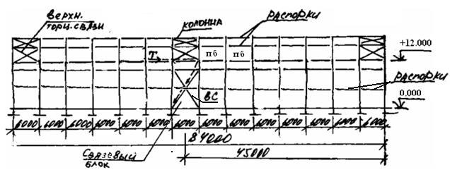 42242.jpg